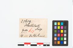 Etikett zu Bronzespiralröhrchen (NHMW-PRAE-025659)